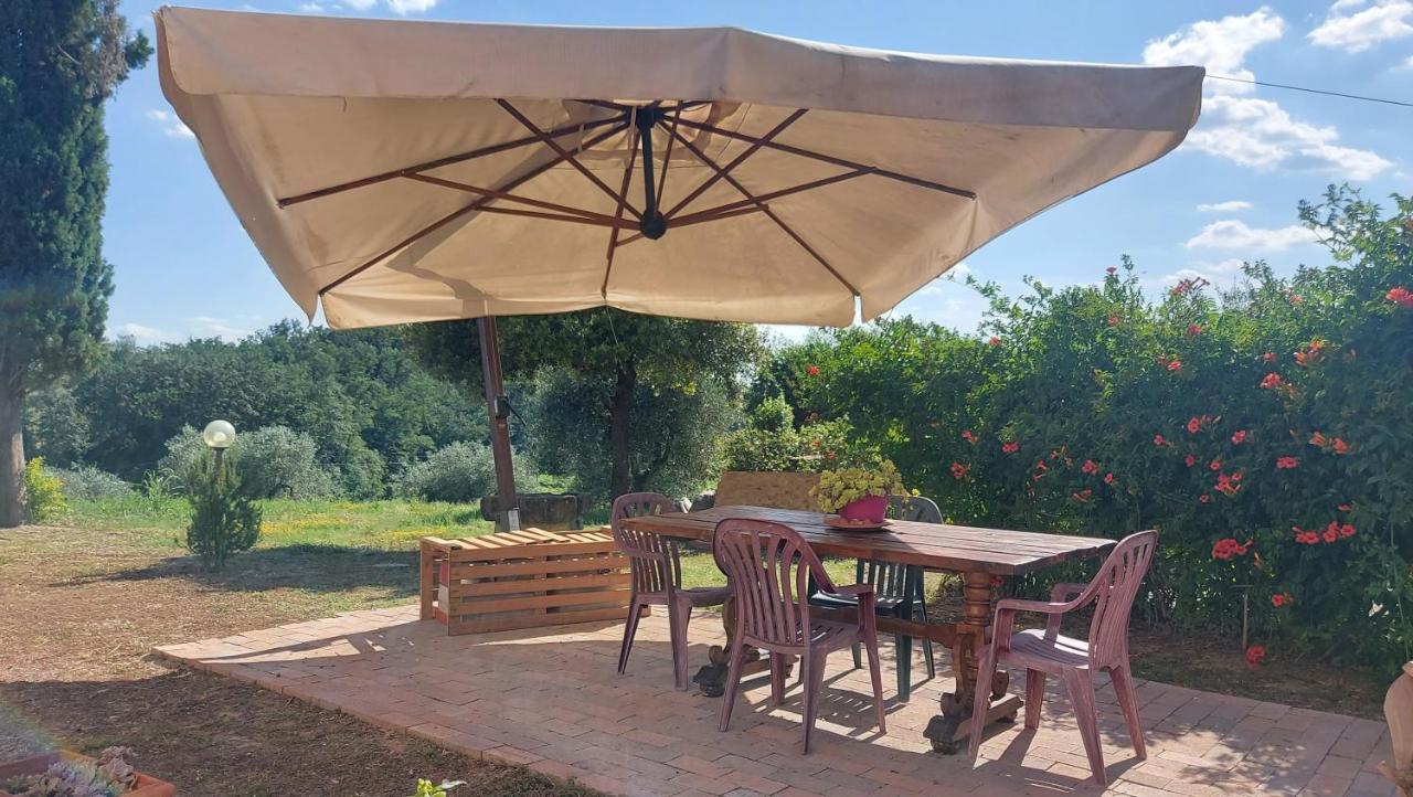 Apartament Il Paretaietto Certaldo Zewnętrze zdjęcie